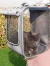 Pet Cat Carrier Backpack Breathable - Image 4