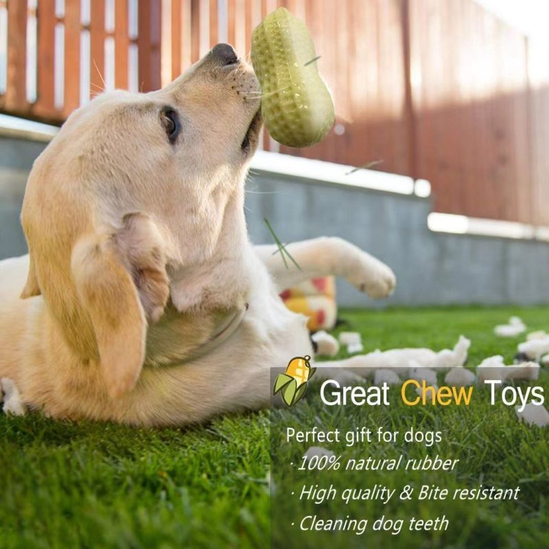 Funny Pet Dog Squeaky Toys - Image 9
