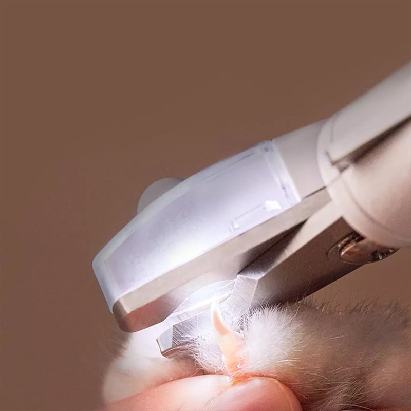 Professional Pet Nail Clipper Scissors Pet - Image 5