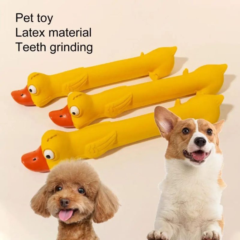 Teeth Grinding Latex Dog Toy - Image 3