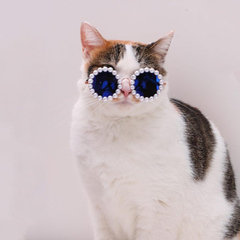 Cat And Dog Pearl Sunglasses - Pet Extravagant Funny Cute Dress Up Costume Accessories For Party - Image 3