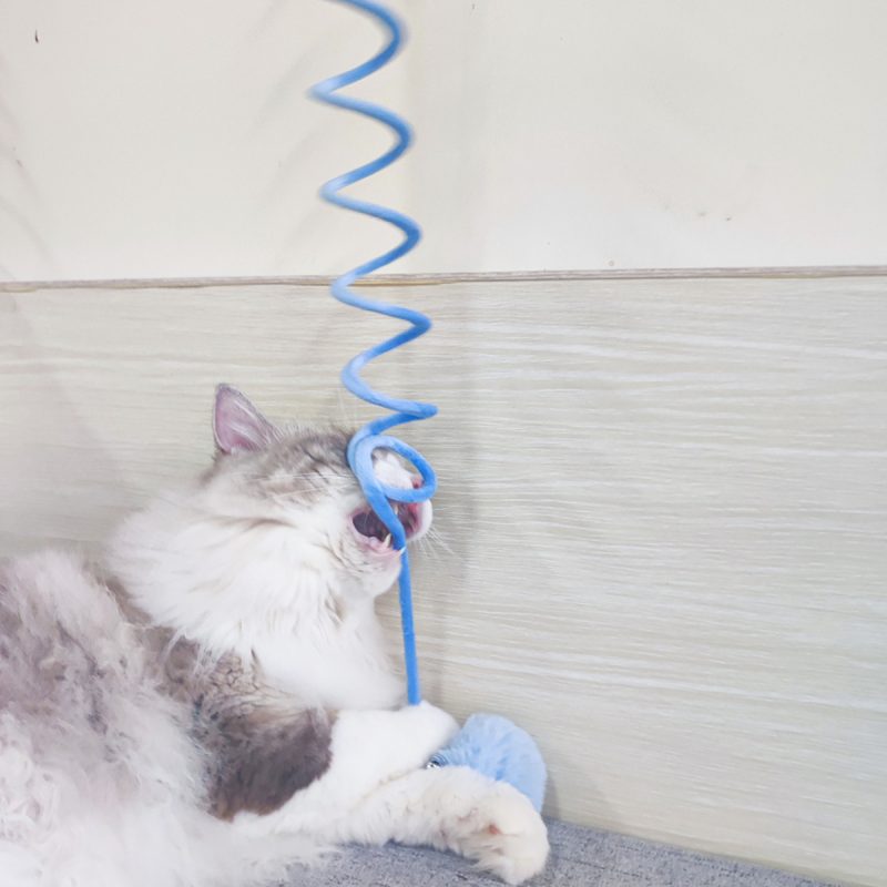 Cat Toy Self-Hi Sucker Spring Rabbit Hair - Image 3