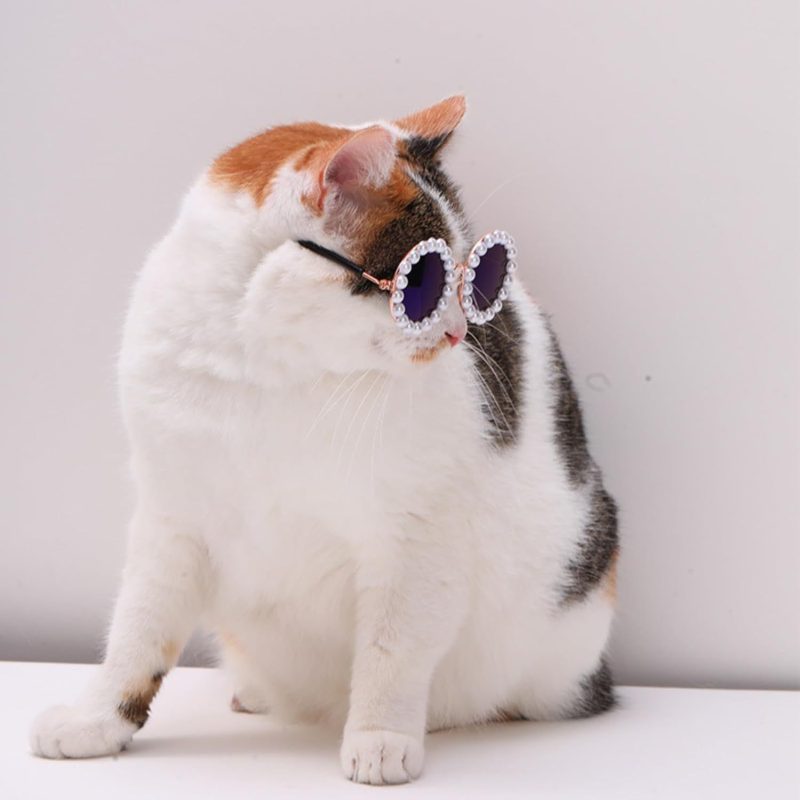 Cat And Dog Pearl Sunglasses - Pet Extravagant Funny Cute Dress Up Costume Accessories For Party - Image 8