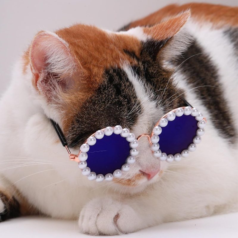 Cat And Dog Pearl Sunglasses - Pet Extravagant Funny Cute Dress Up Costume Accessories For Party - Image 5