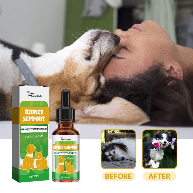 Pet Nutritional Supplements Enhance Energy Vitality - Image 4