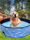 Foldable Dog Pool Pet Bath Swimming Tub Bathtub - Image 2