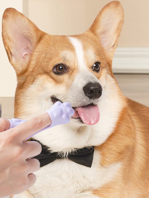 Dog Finger Toothbrush Small Dog Cleaning