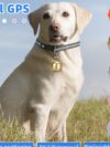 G15P Pet Locator GPS Tacker Smartphone APP - Image 8