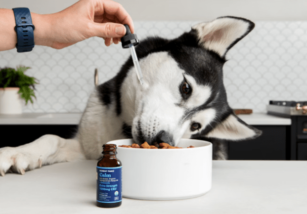 Affordable and quality pet products you can trust from BestPetSupplyShop
