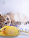 Interactive Cat Toys Mouse - Image 7