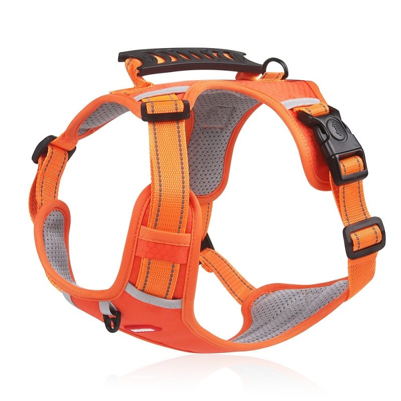 Pet Hand Holding Rope Vest-style Explosion-proof Reflective - Image 8