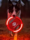 Dog Flying Discs Light Glowing LED - Image 10