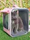 Pet Cat Carrier Backpack Breathable - Image 6