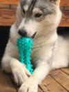 Pet Dog Cleaning Chew Toys - Image 5
