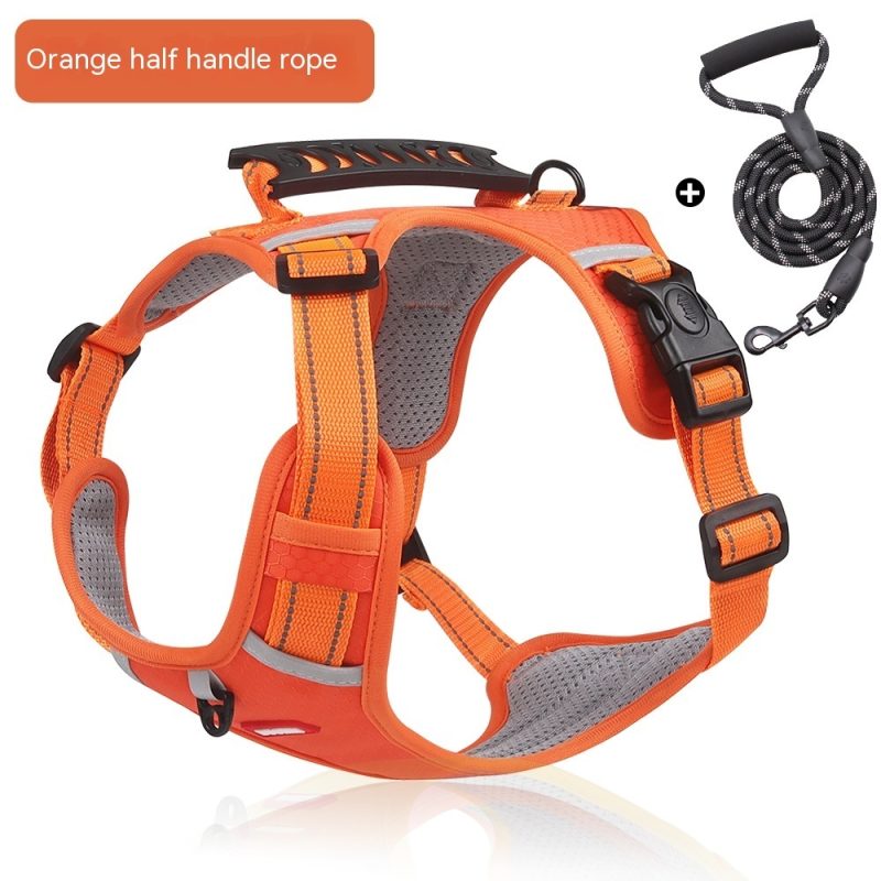 Pet Hand Holding Rope Vest-style Explosion-proof Reflective - Image 9