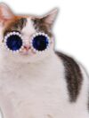 Cat And Dog Pearl Sunglasses - Pet Extravagant Funny Cute Dress Up Costume Accessories For Party - Image 9