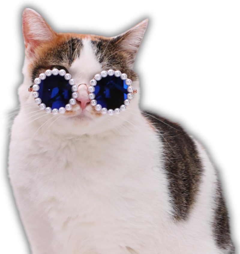 Cat And Dog Pearl Sunglasses - Pet Extravagant Funny Cute Dress Up Costume Accessories For Party - Image 9