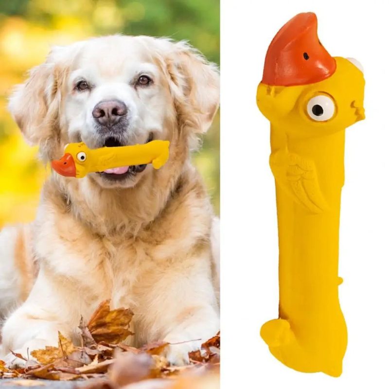 Teeth Grinding Latex Dog Toy - Image 9
