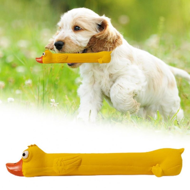 Teeth Grinding Latex Dog Toy - Image 7