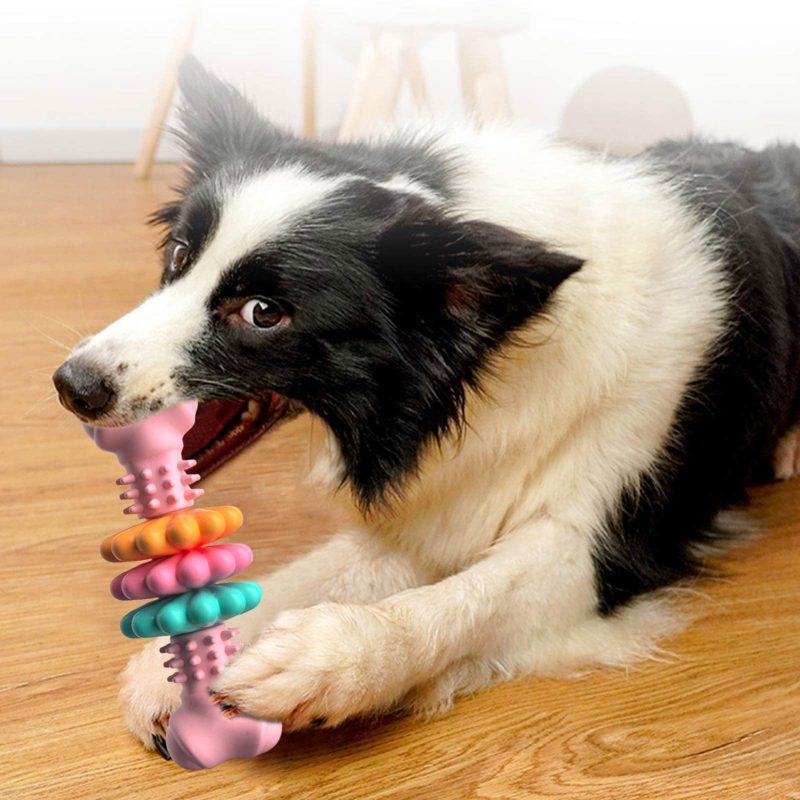 Dog Chew Toy Dog Bone Type - Image 4