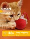 Interactive Cat Toy Ball Super Drive Cat Rolling Ball - Image 4