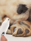 Nail Trimmer Pet Grooming And Cleaning Supplies - Image 2