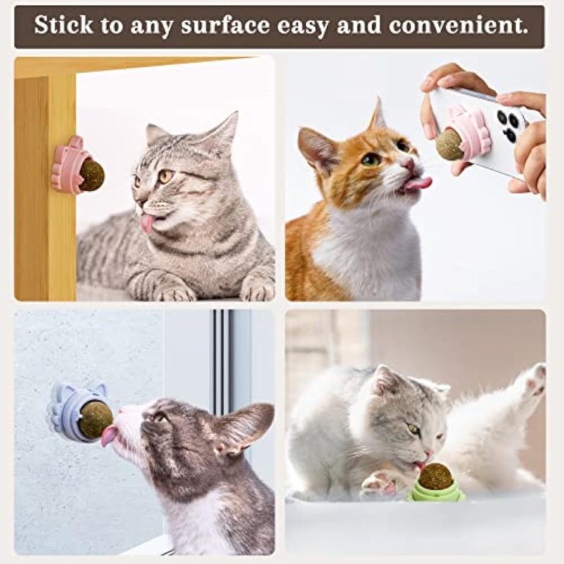 Catnip Balls That Stick On Wall Catnip - Image 2