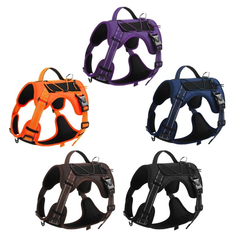 Pet Hand Holding Rope Anti Breaking Loose Dog Harness - Image 9